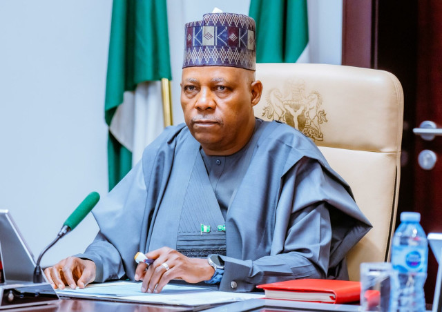 Vice President Kashim Shettima